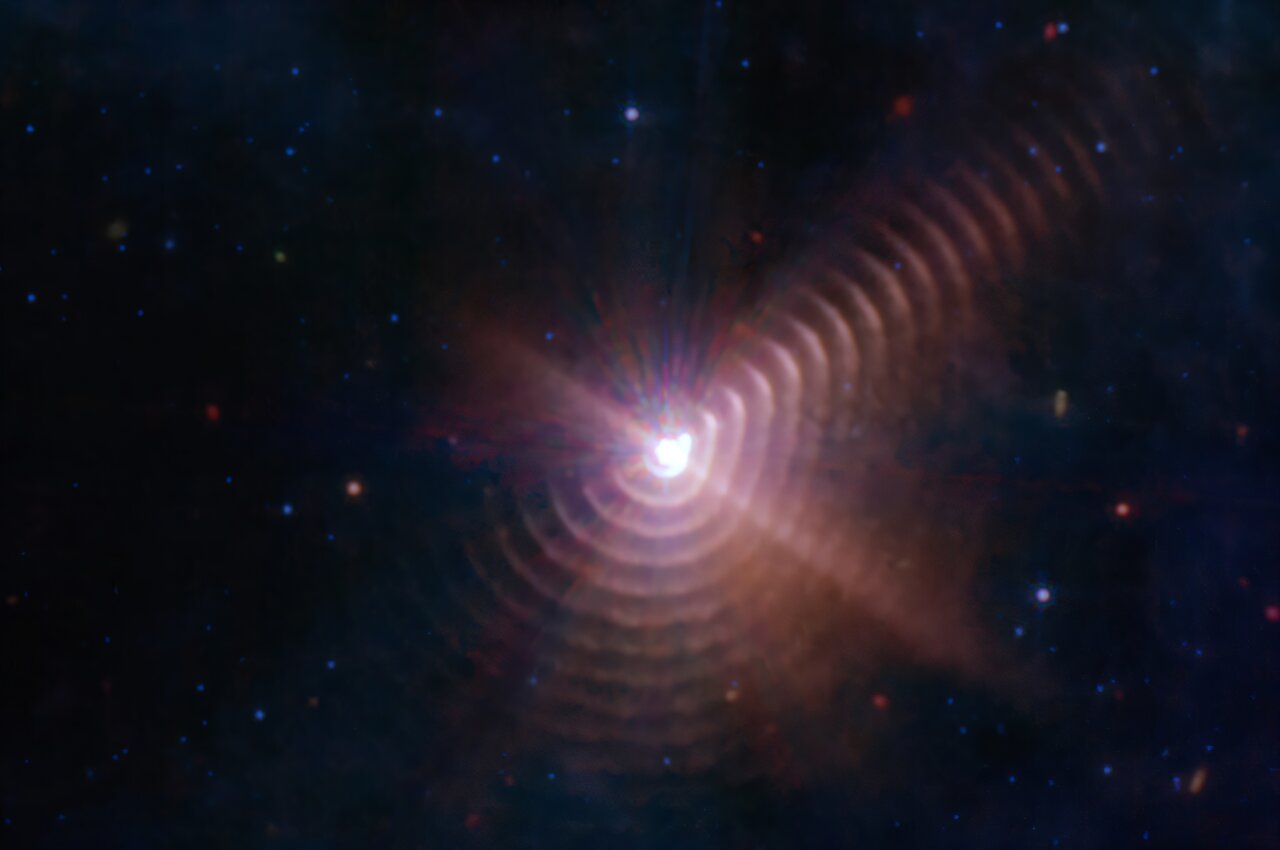 phys.org