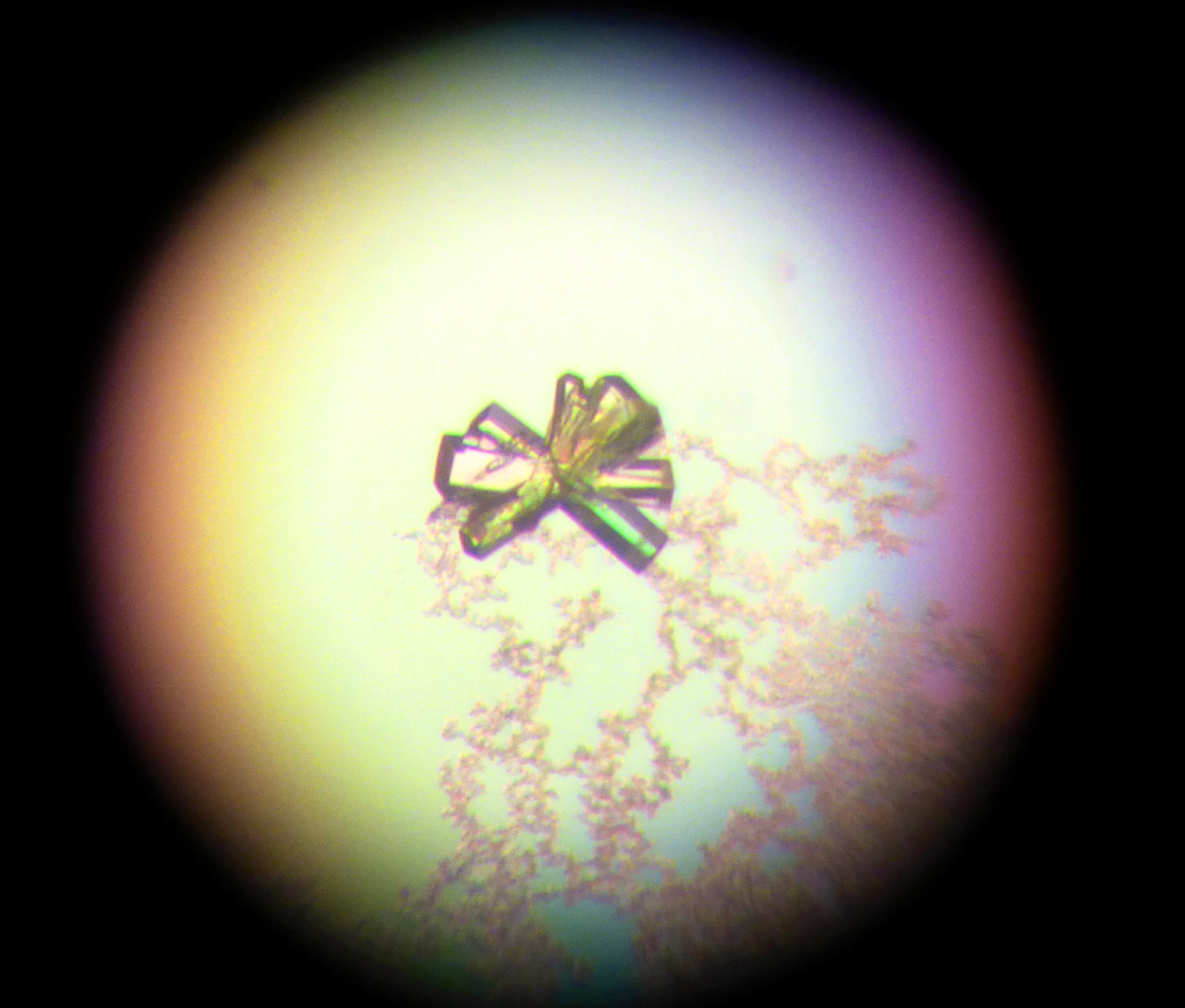 phys.org