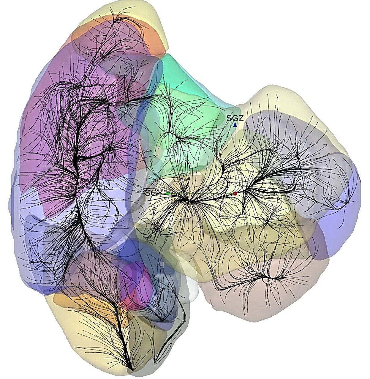 phys.org