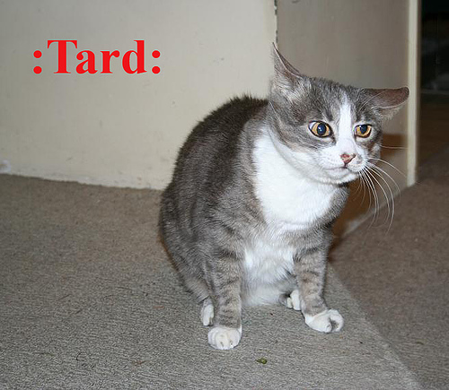 critter199.jpg