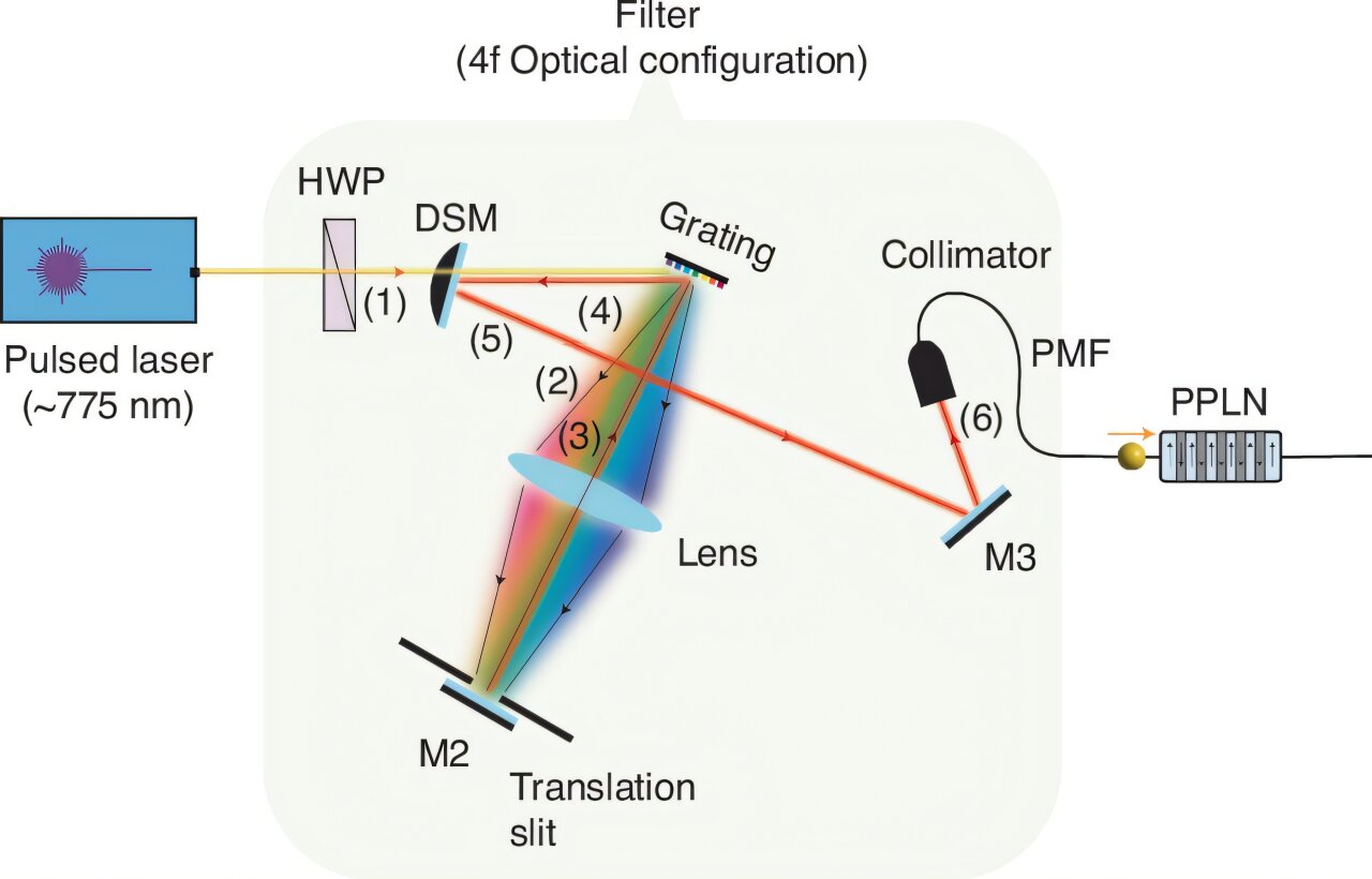 phys.org