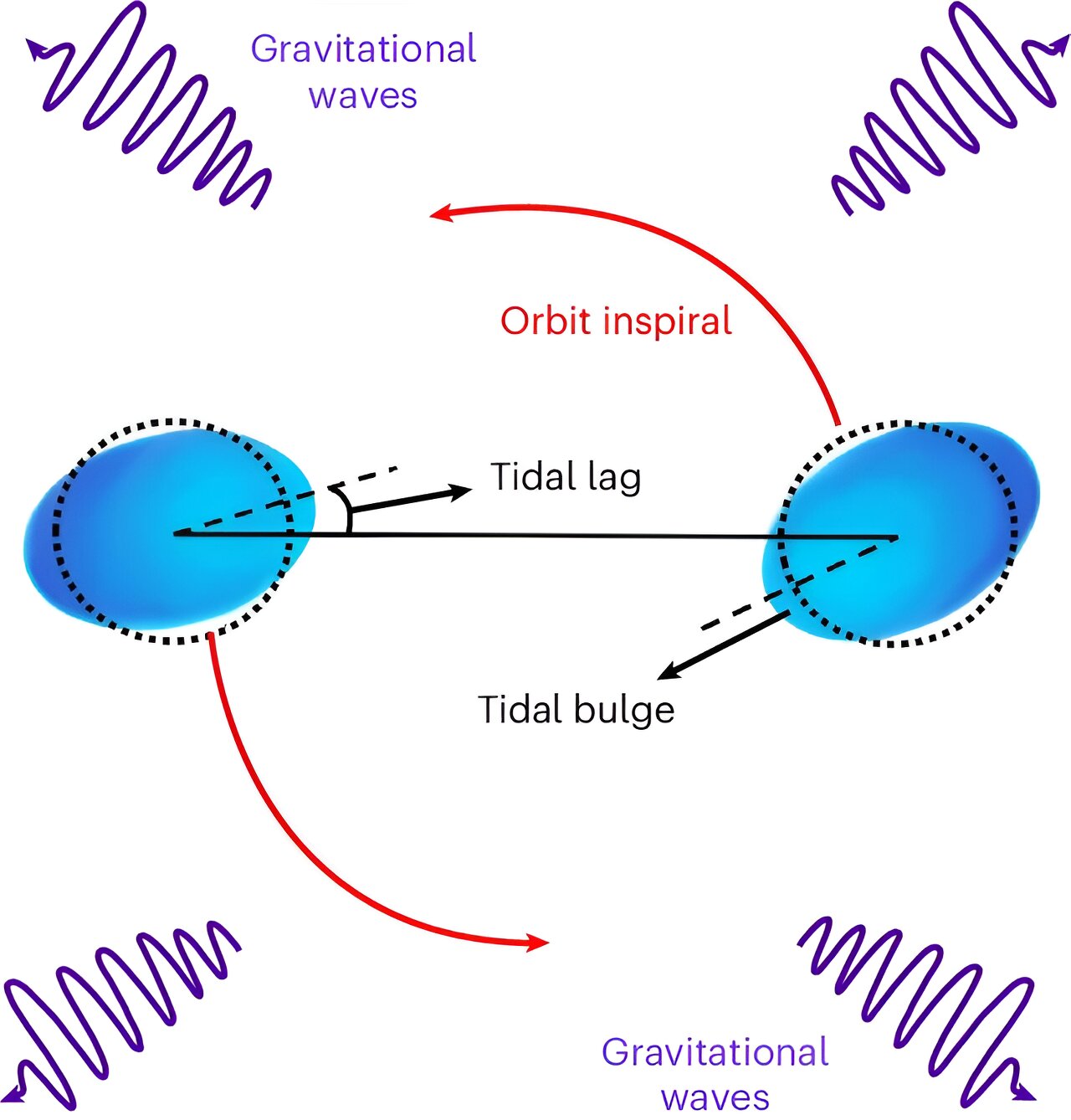 phys.org