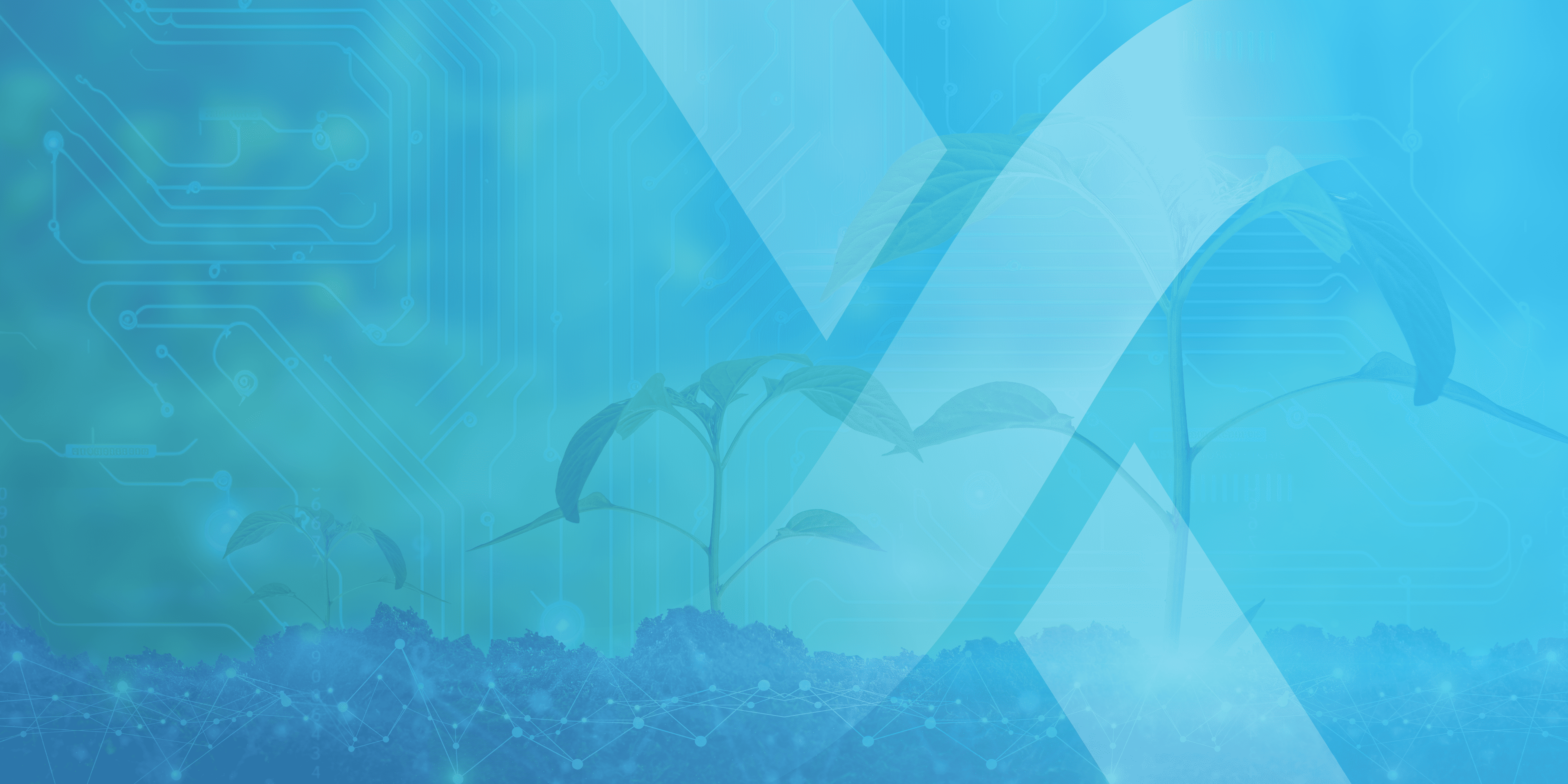 www.rethinkx.com