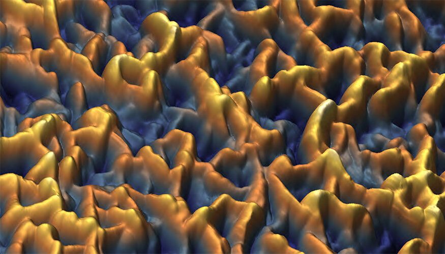 phys.org
