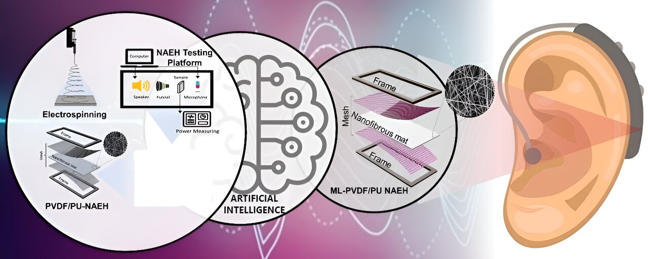 phys.org