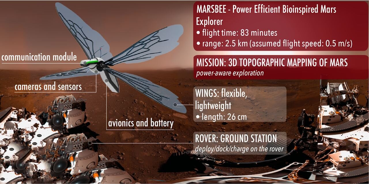 phys.org