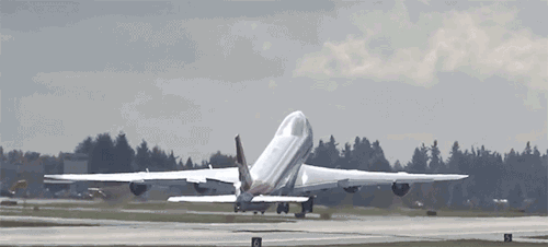 tumblr_ndjk3hzyxJ1trd7tho1_500.gif