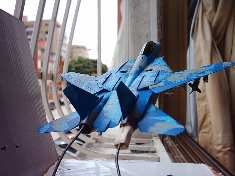 FA-14WTomcatIMG_2914.jpg