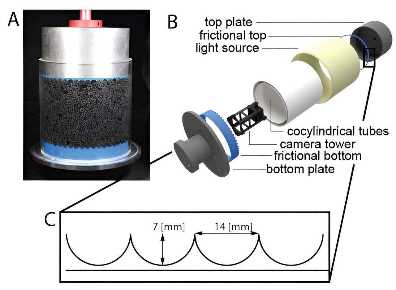 phys.org