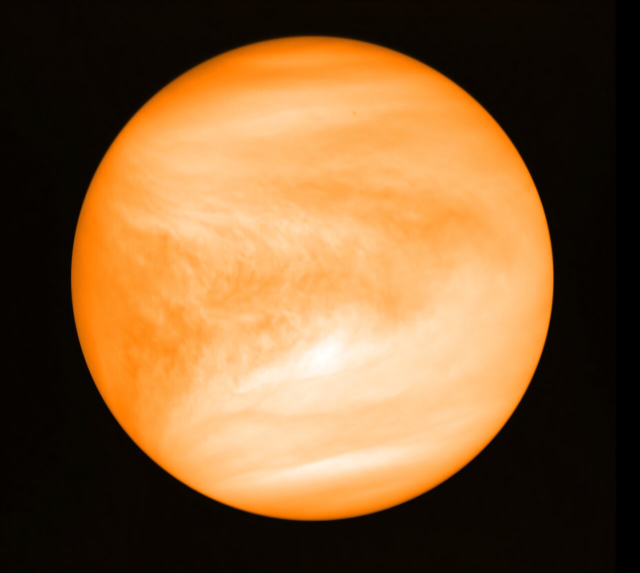 phys.org