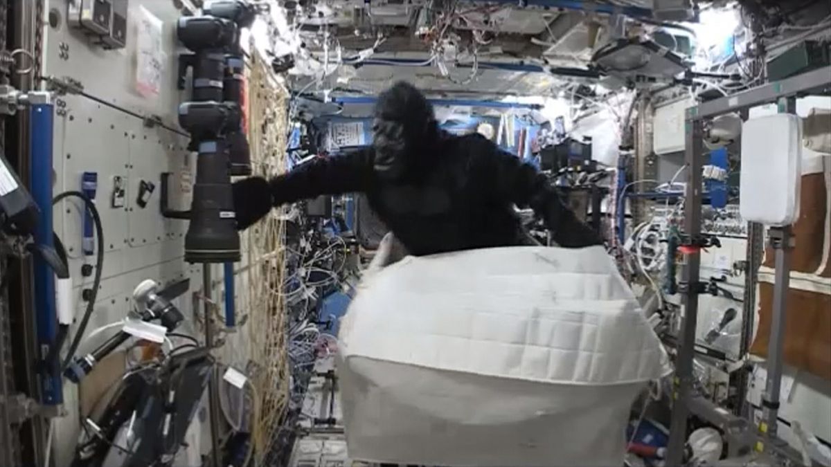 www.space.com
