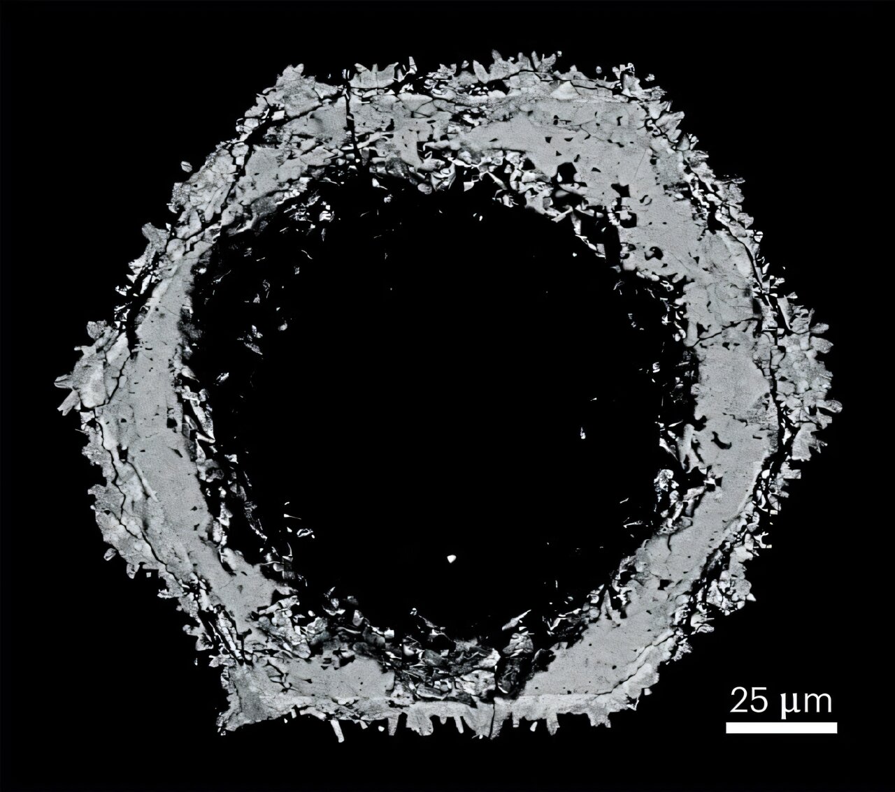 phys.org