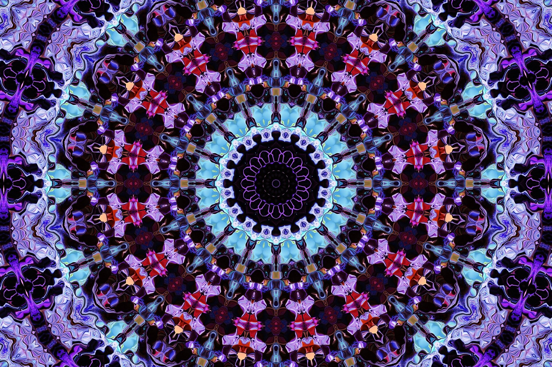 phys.org