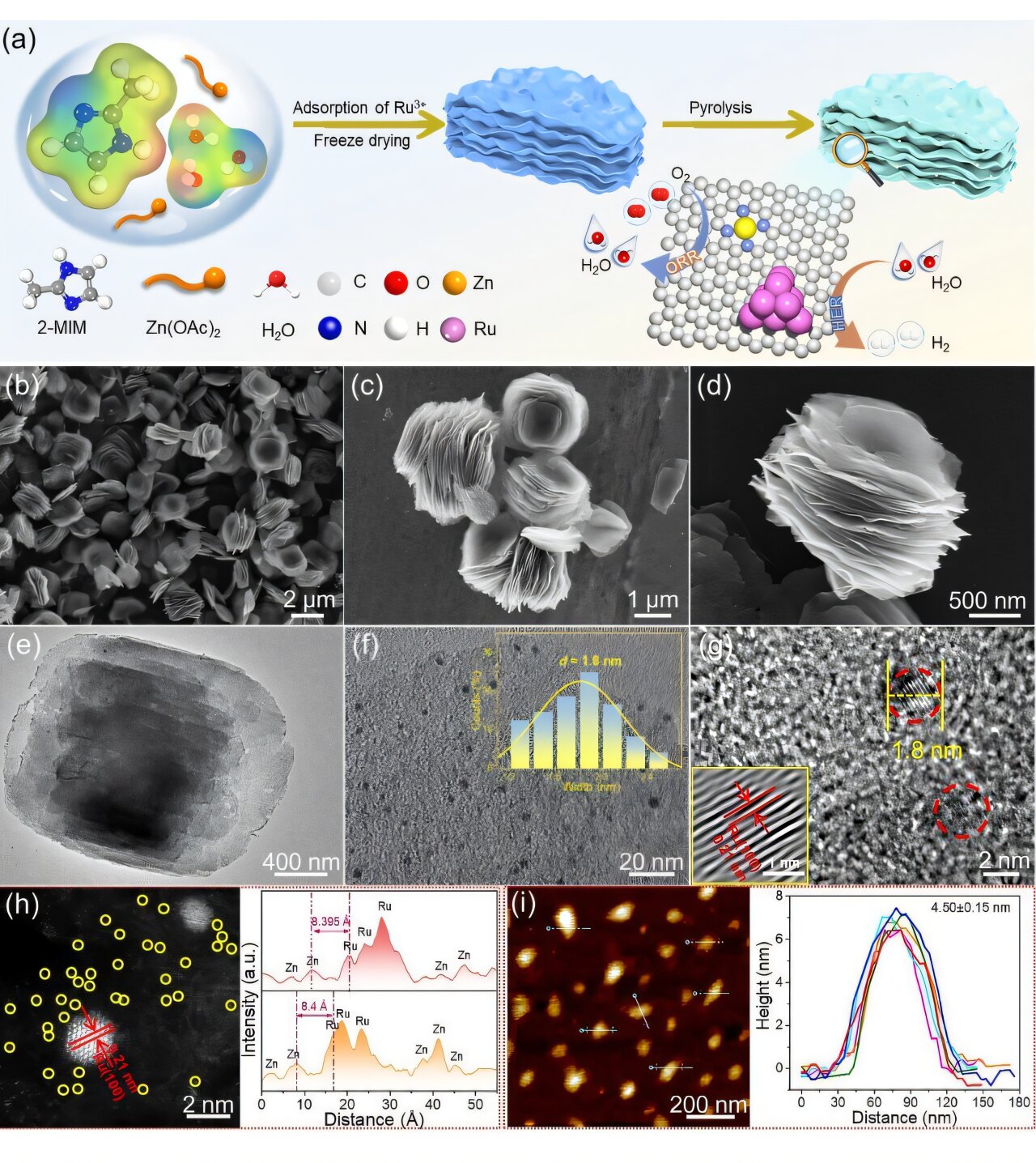 phys.org