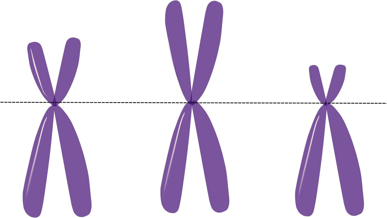phys.org
