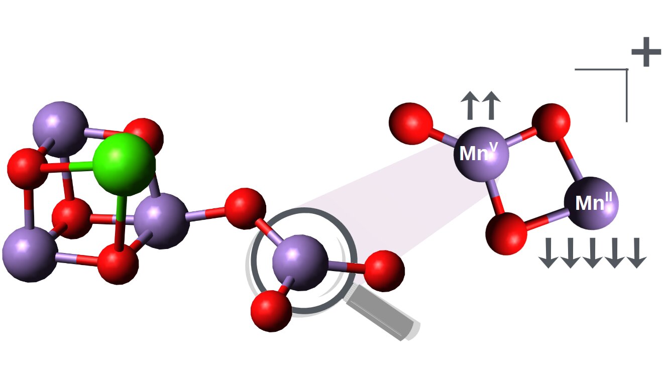phys.org