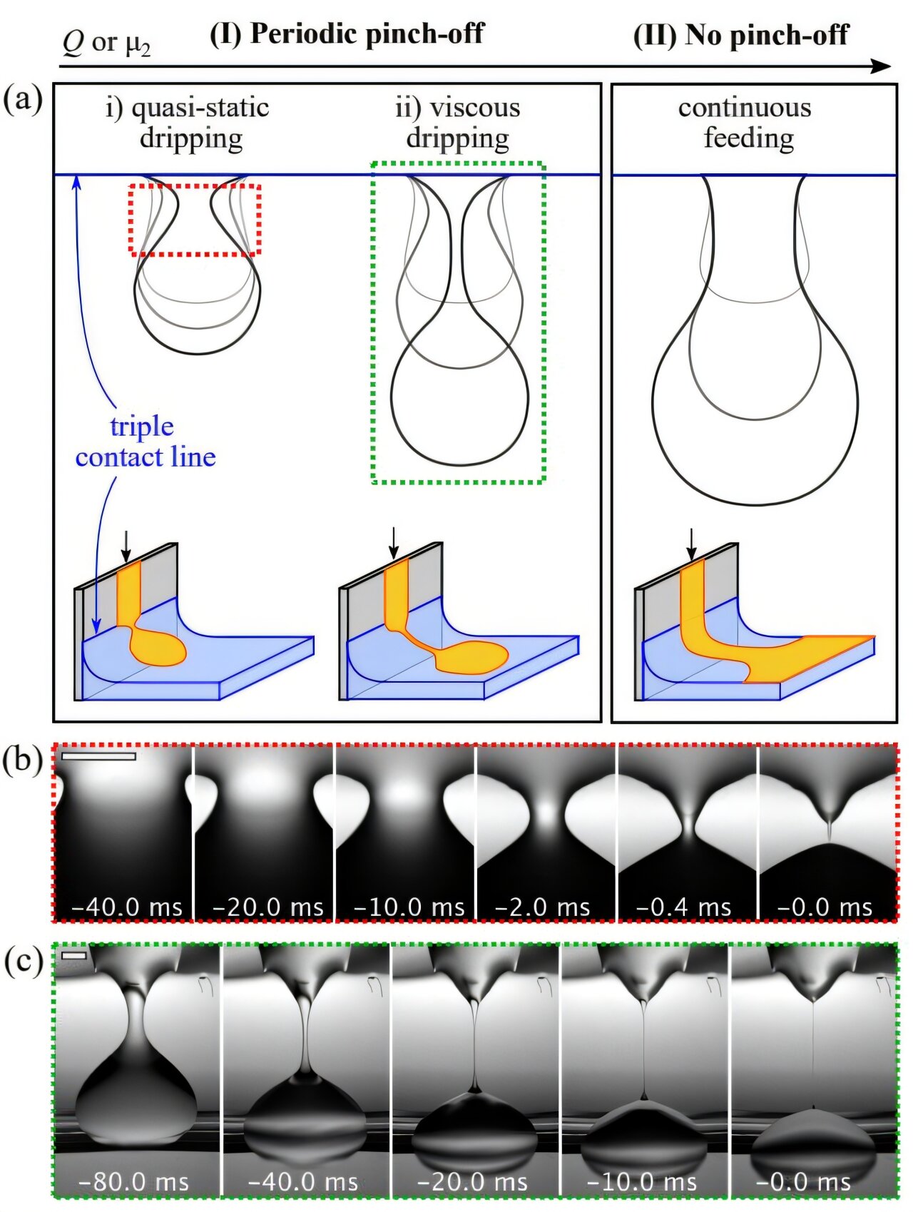 phys.org