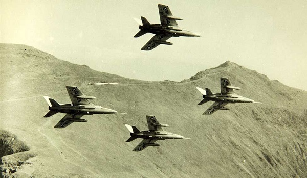 gnat-3.jpg