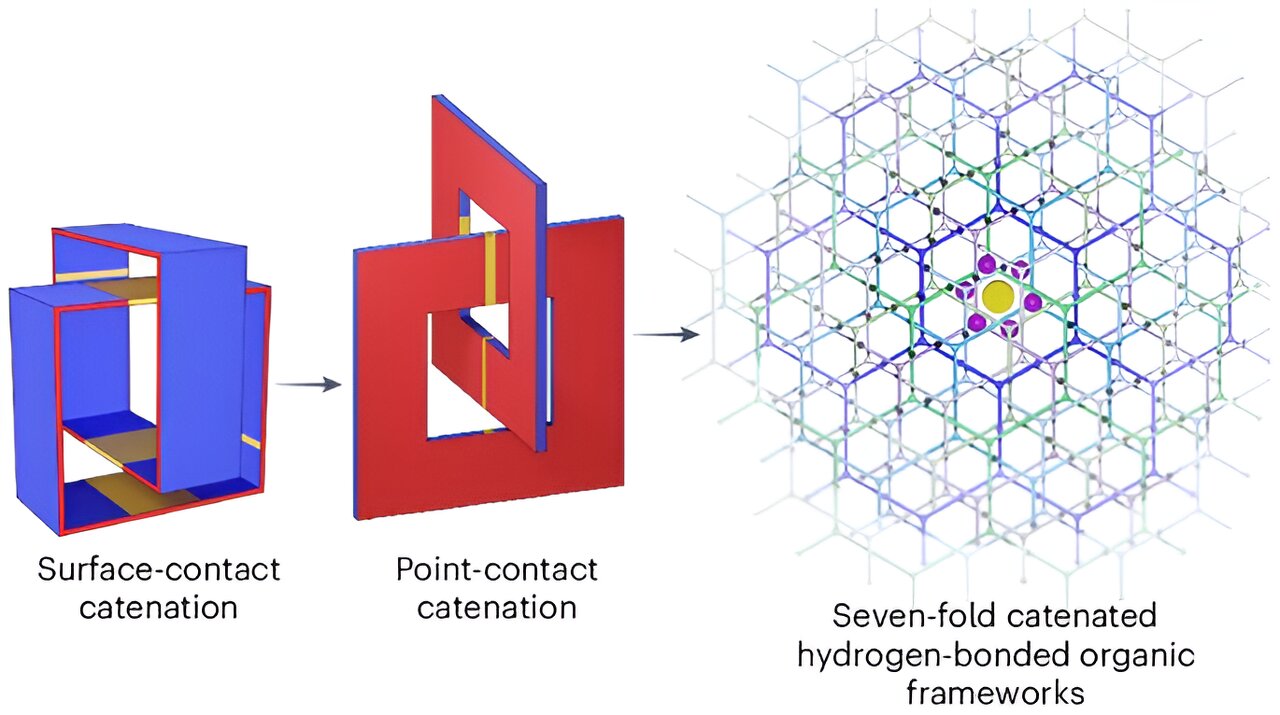 phys.org