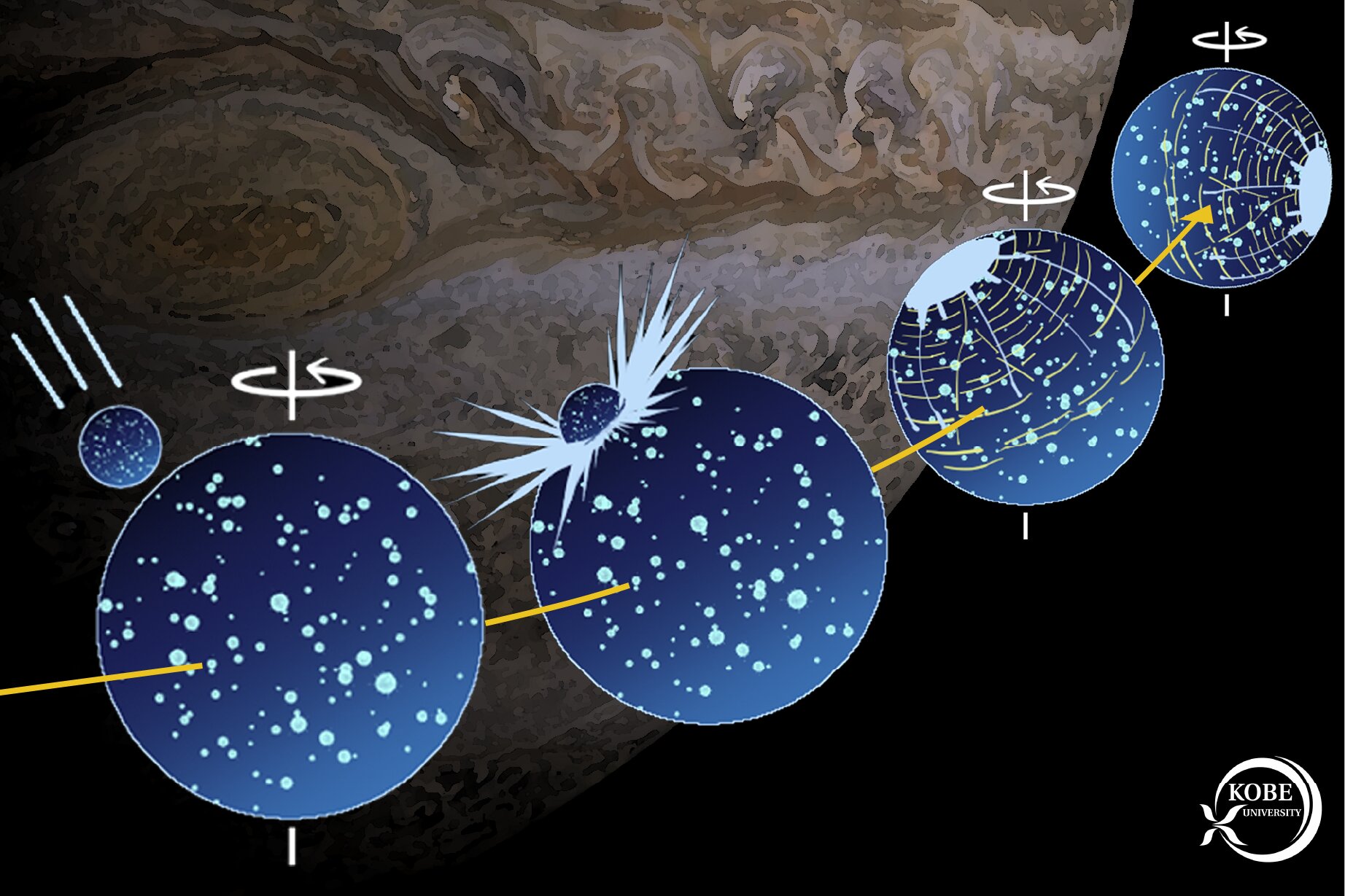 phys.org