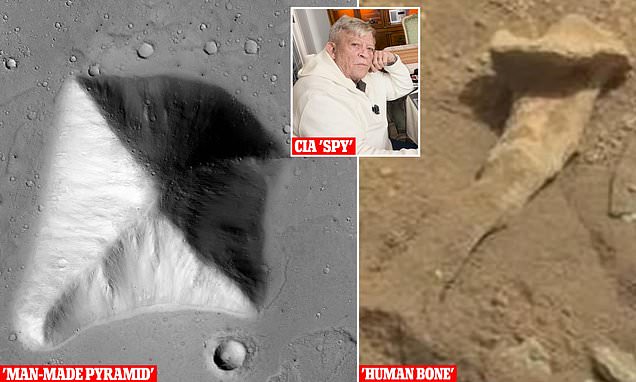 www.dailymail.co.uk