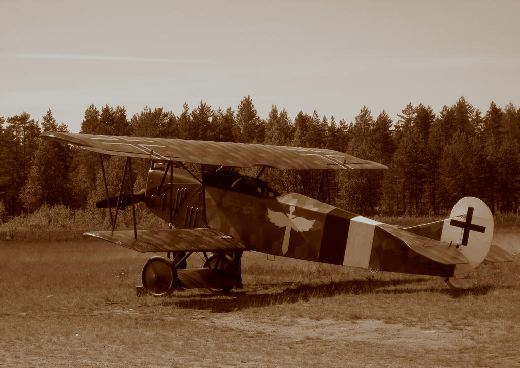 mikael_carlson_s_fokker_d_vii_replica_by_perttime-d6cj2ks.jpg