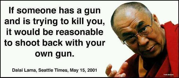 if-someone-has-a-gun-and-is-trying-to-kill-you-it-would-be-reasonable-to-shoot-back-with-your-own-gun-the-dalai-lama.jpg
