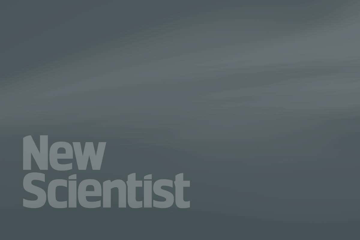 www.newscientist.com